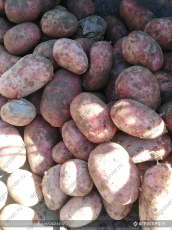 ��������� ��������� ��������