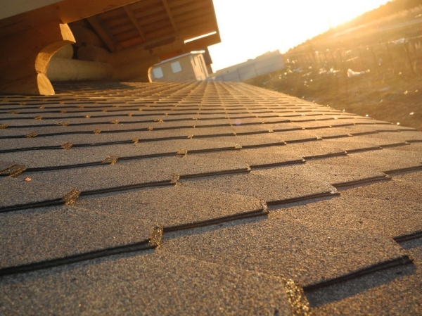 ������ �������� Shinglas. �������� �� ����������.