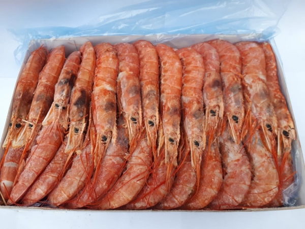 �������� ��������, �����������, �����������, �����, ���������� � ��������. ������