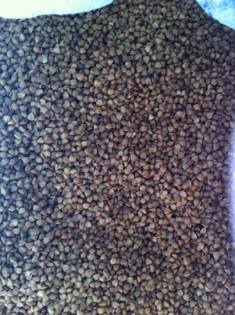 ������ ������ ������ 1 ���� ����