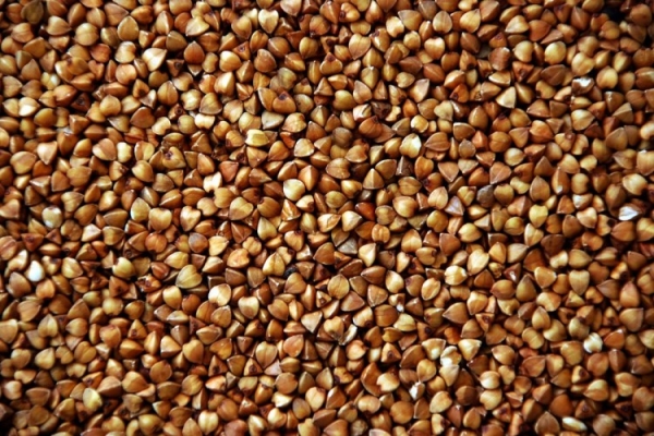 ������ ����� ���������