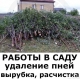 Расчистка участков Воронеж